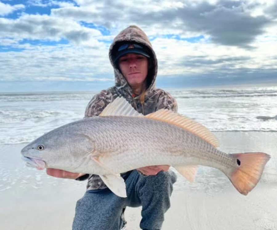 surf redfish