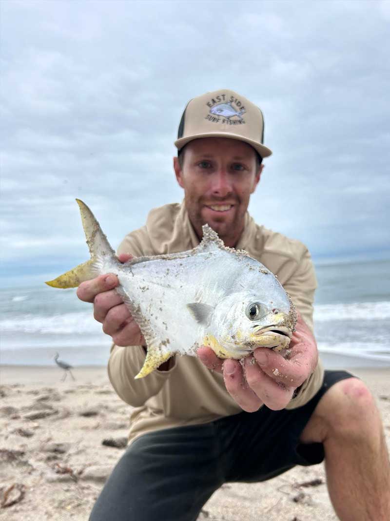 pompano