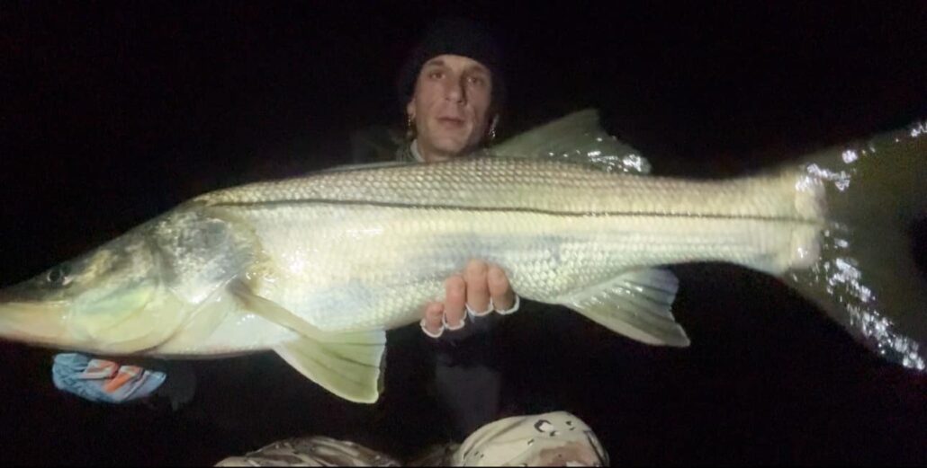 snook fighting at night