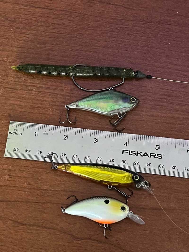 downsized winter lures