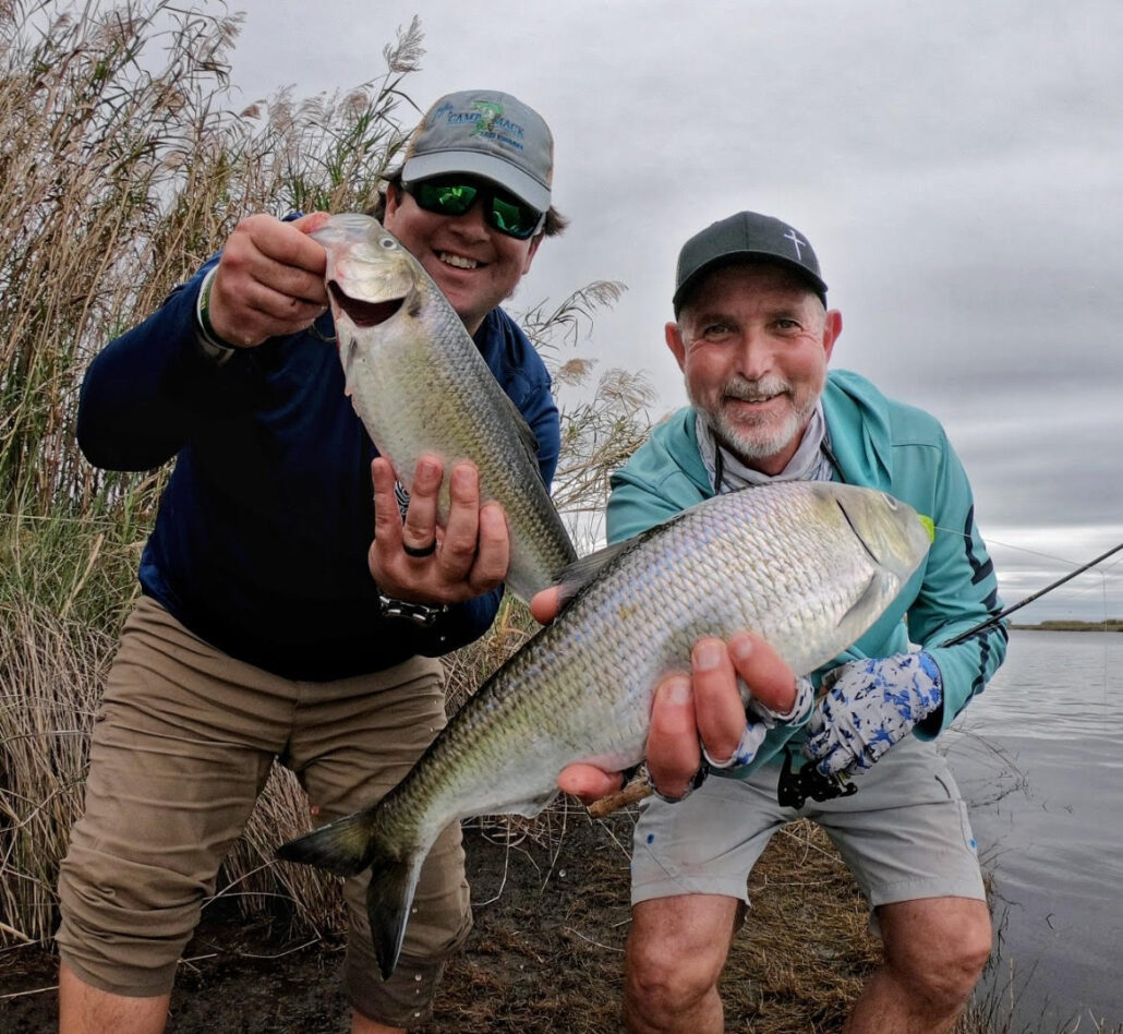 American Shad with Paul