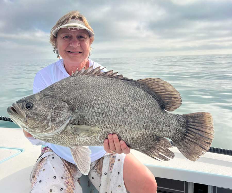 tripletail