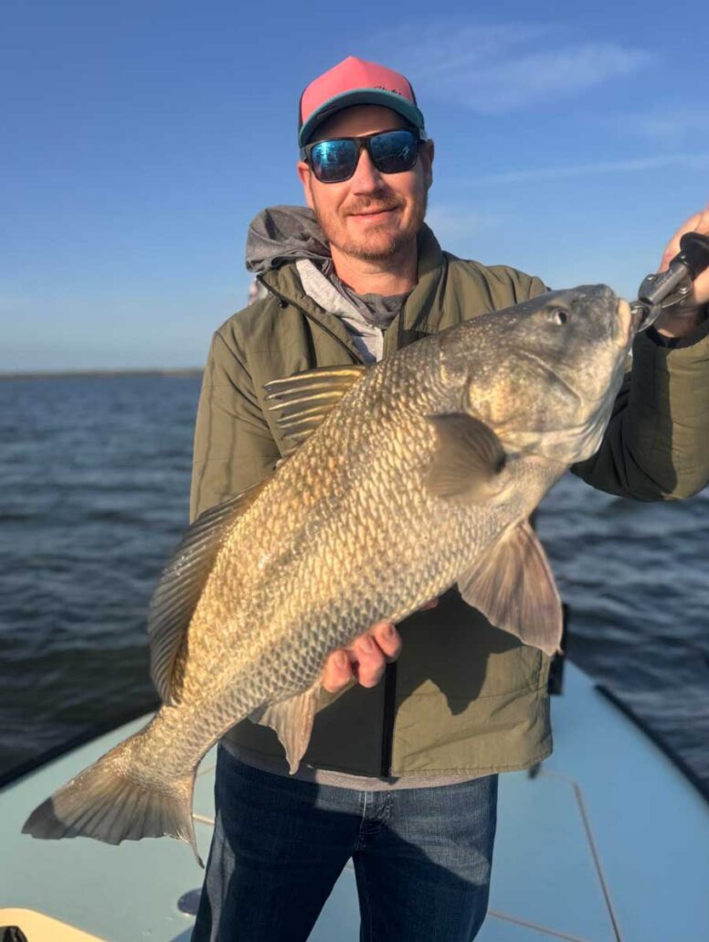 mosquito lagoon black drum