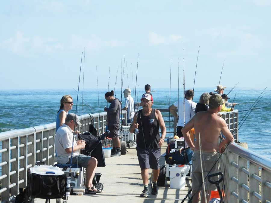 south jetty fishing