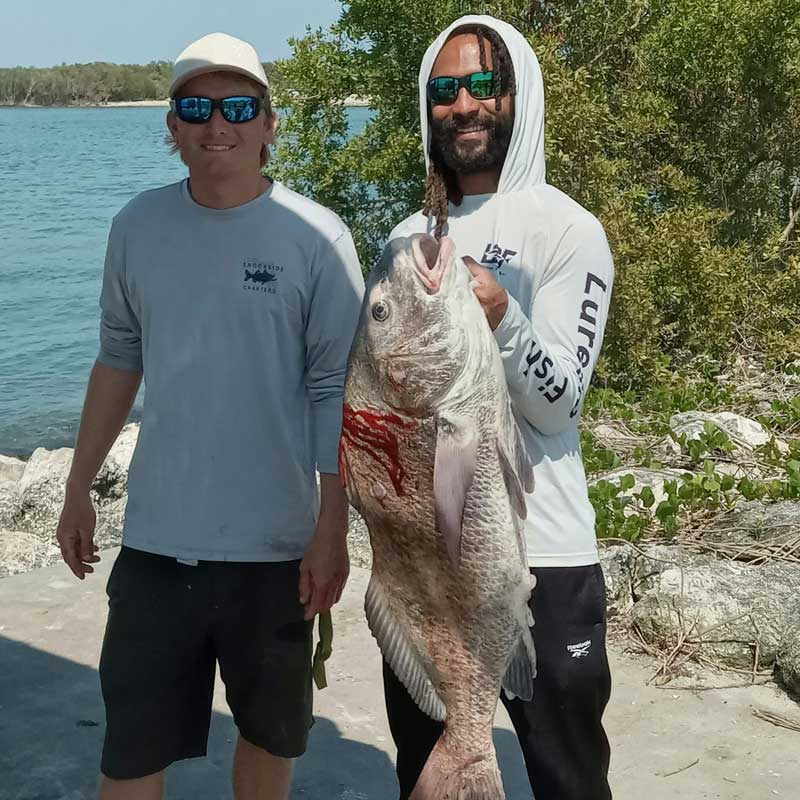 sebastian inlet jetty drum