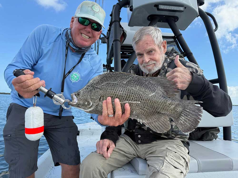 tripletail