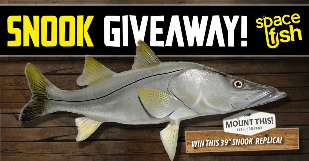 snook giveaway