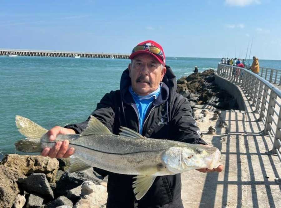 jetty snook