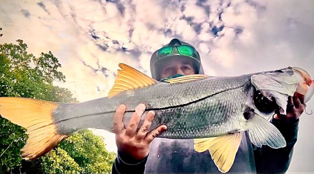 Snook on Jawbone Casting Rod Snook on Jawbone Casting Rod