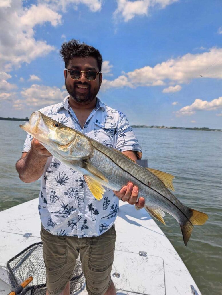 snook