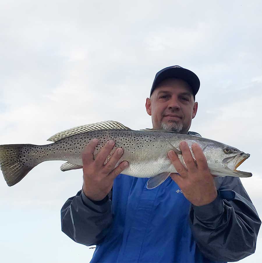 seatrout
