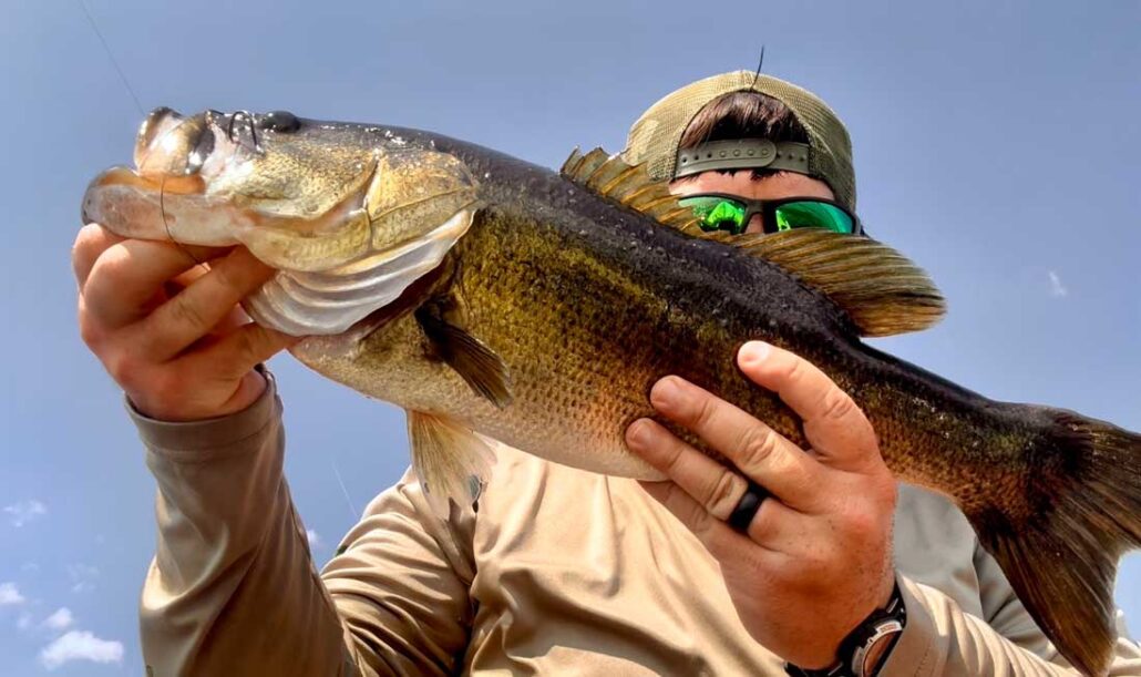 Bass on Speedworm – Lake Toho Bass on Speedworm - Lake Toho