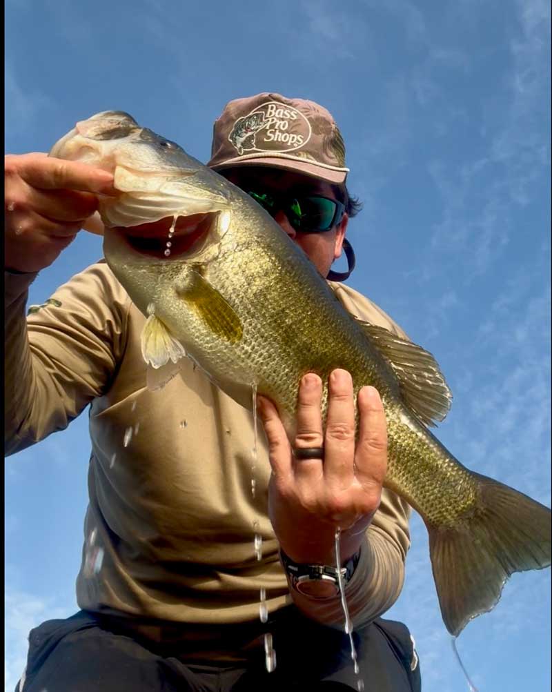 Lake Underhill Bass on Finesse Frog