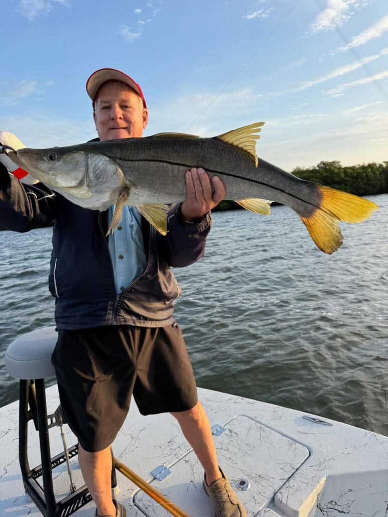 snook
