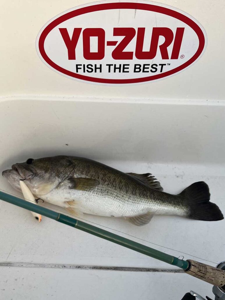 bass fishing