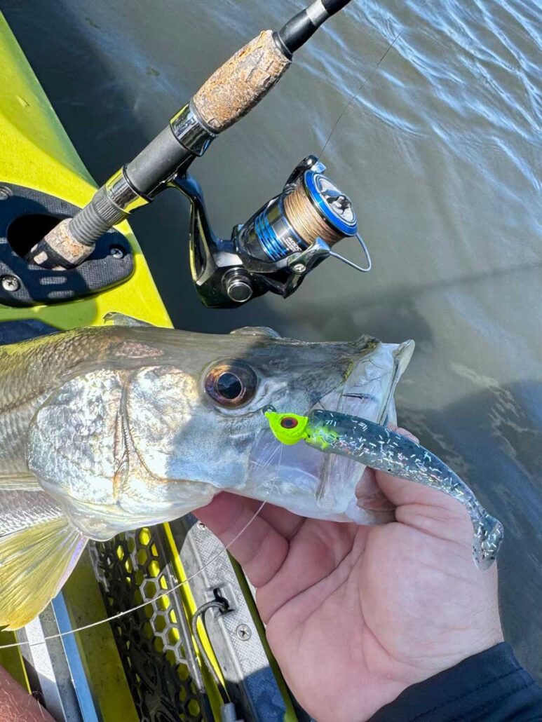 Chartruese Jig paired with a DOA CAL in Mullet Chartruese Jig paired with a DOA CAL in Mullet