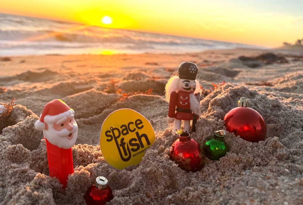 spacefish xmas