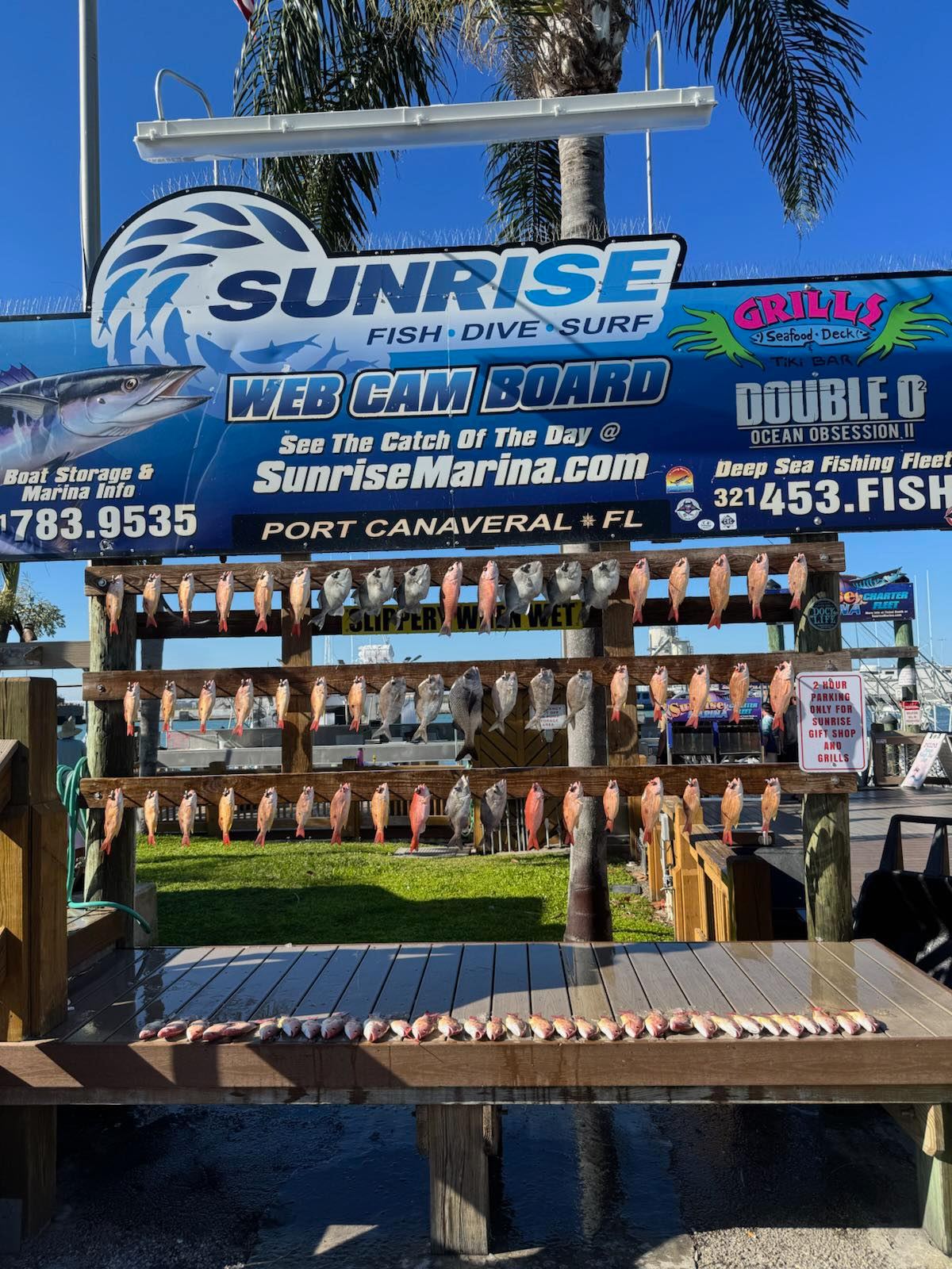 Back on the Water! – Port Canaveral Offshore Fishing Report