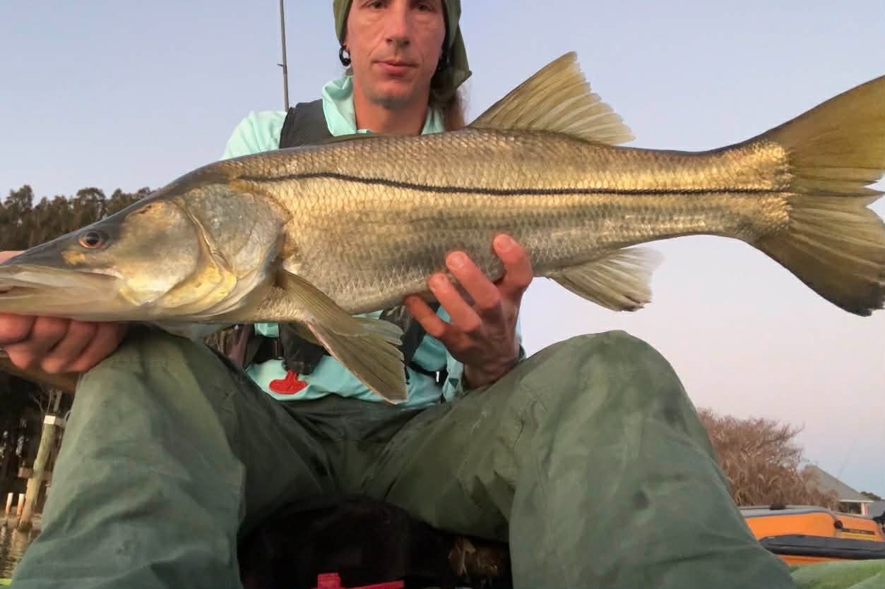 Nice Snook Pulled From Dock – SpaceFish