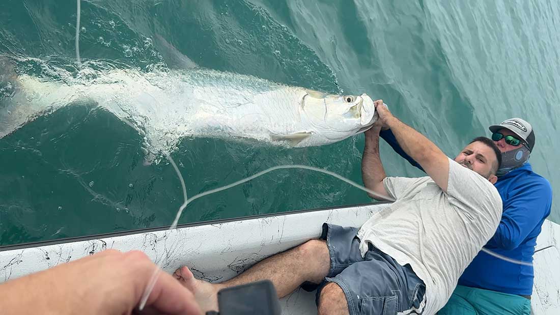 tarpon ride along