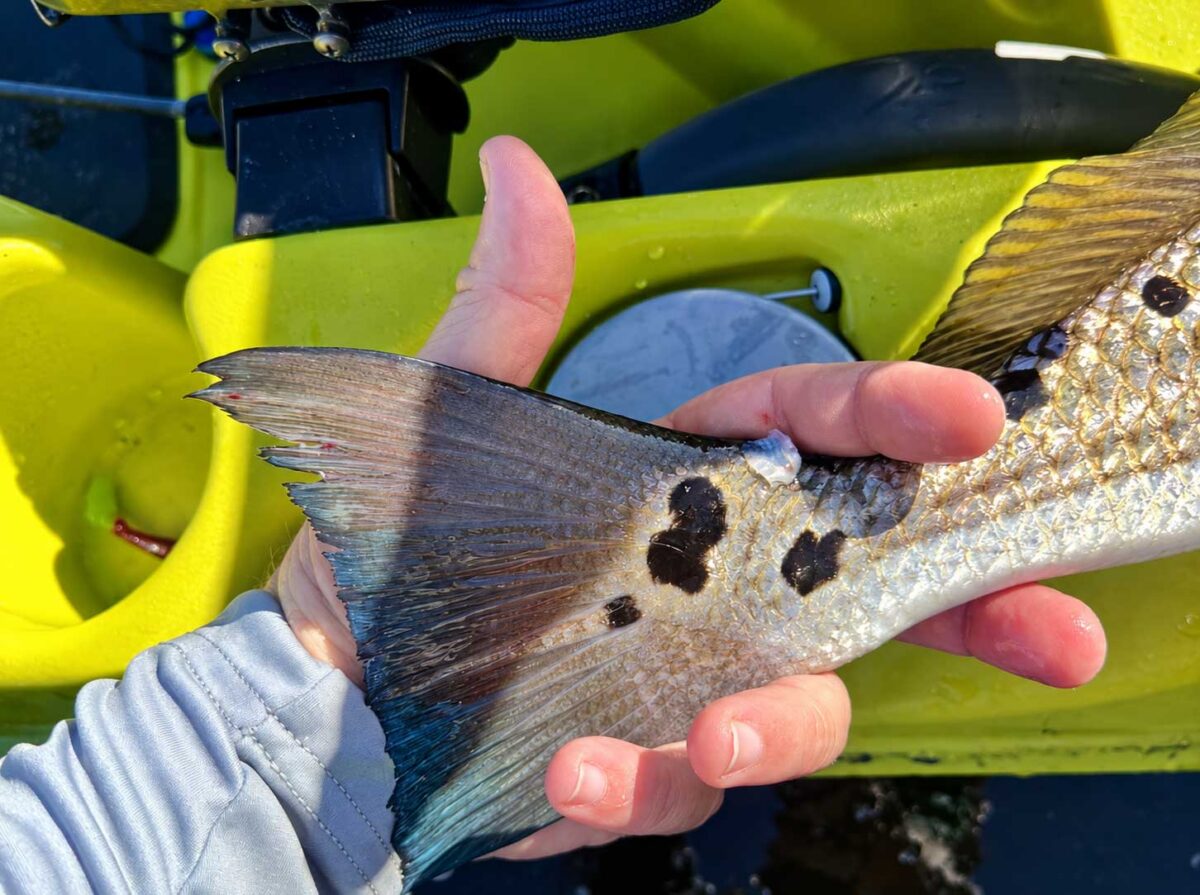 Space Coast Fishing Forecast (Week of Oct 27, 2026)