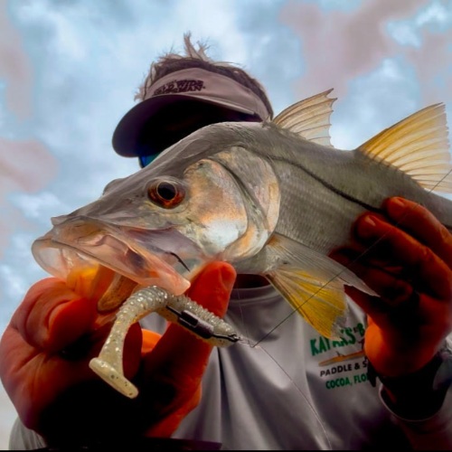 After School Special – Snook in the Creeks