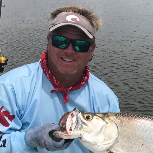 Large Mullet Schools Moving Through